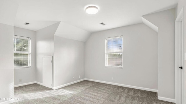 bonus room with carpet and lofted ceiling