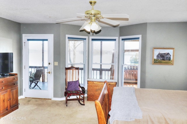 bedroom featuring light carpet, multiple windows, and baseboards