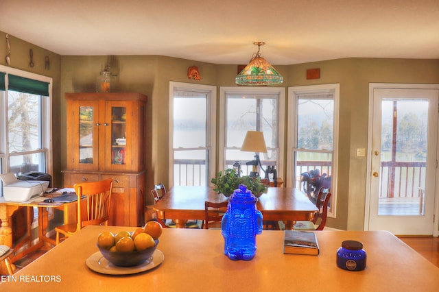 dining area with a healthy amount of sunlight