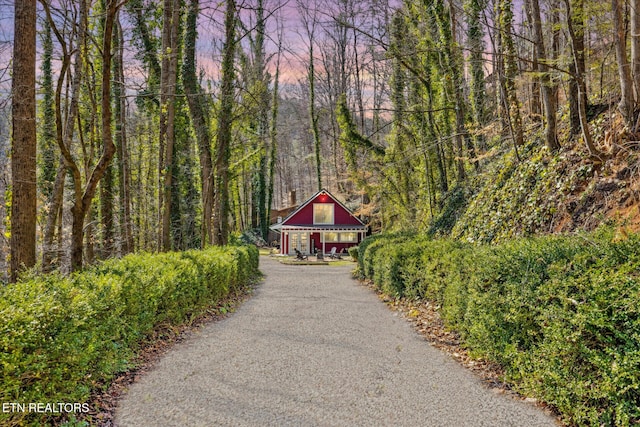 view of home's community featuring a wooded view