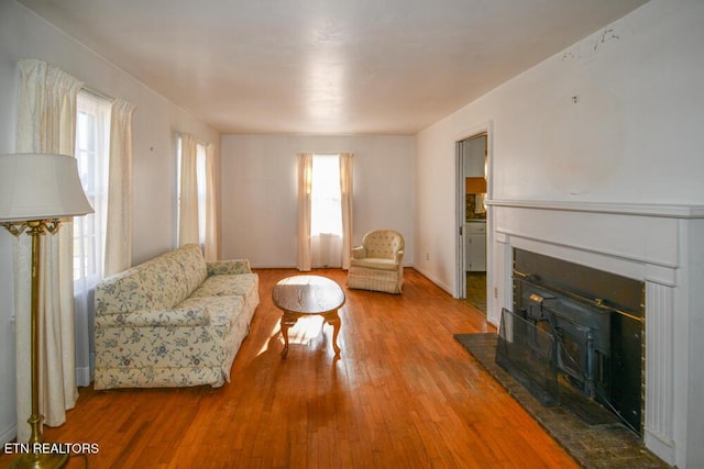 living room featuring a fireplace and wood finished floors