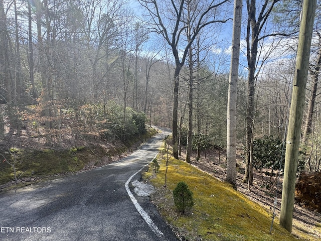 3809 Ravens Den Way, Sevierville, TN 37862 - view of street with a forest view