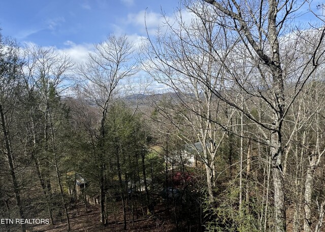 3809 Ravens Den Way, Sevierville, TN 37862 - view of mountain feature featuring a forest view
