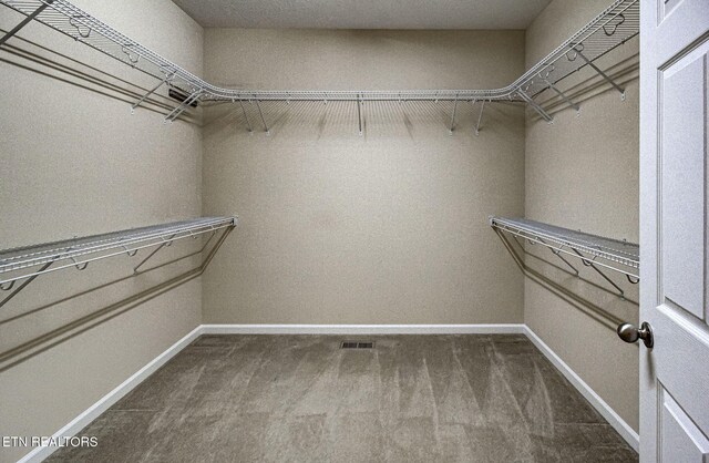 walk in closet featuring carpet and visible vents