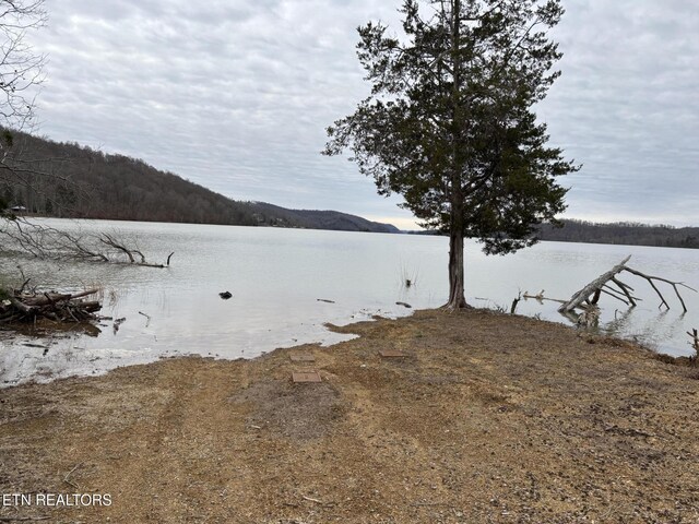 water view