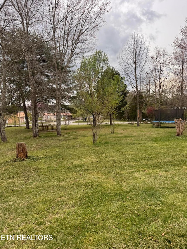 166 Sligo St, Crossville, TN 38572 - view of yard with a trampoline