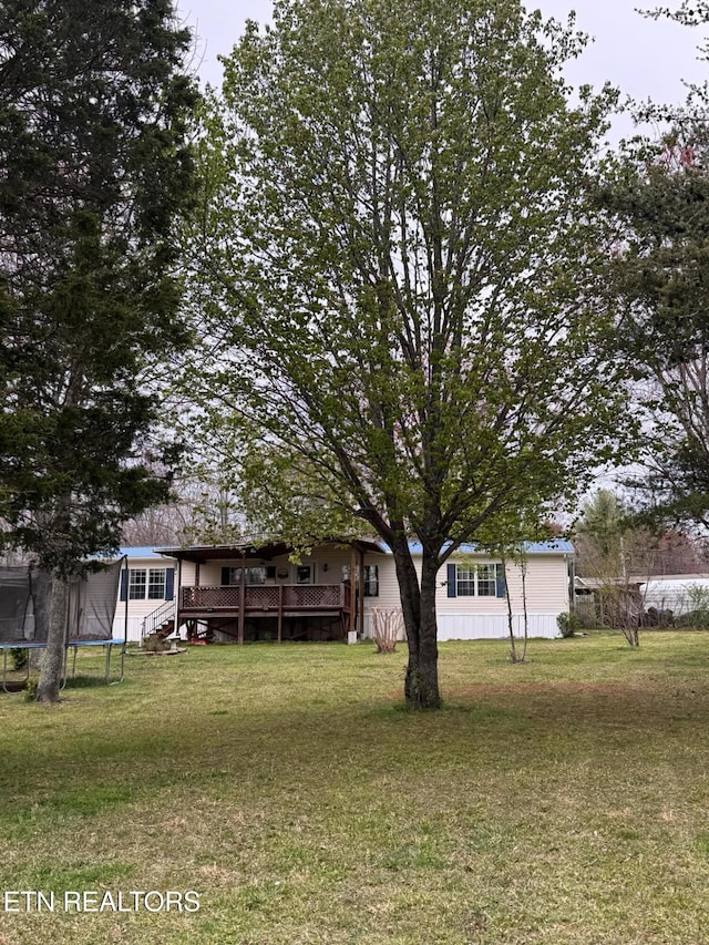 166 Sligo St, Crossville, TN 38572 - view of yard with a trampoline, stairway, and a wooden deck