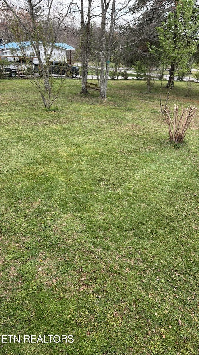 166 Sligo St, Crossville, TN 38572 - view of yard