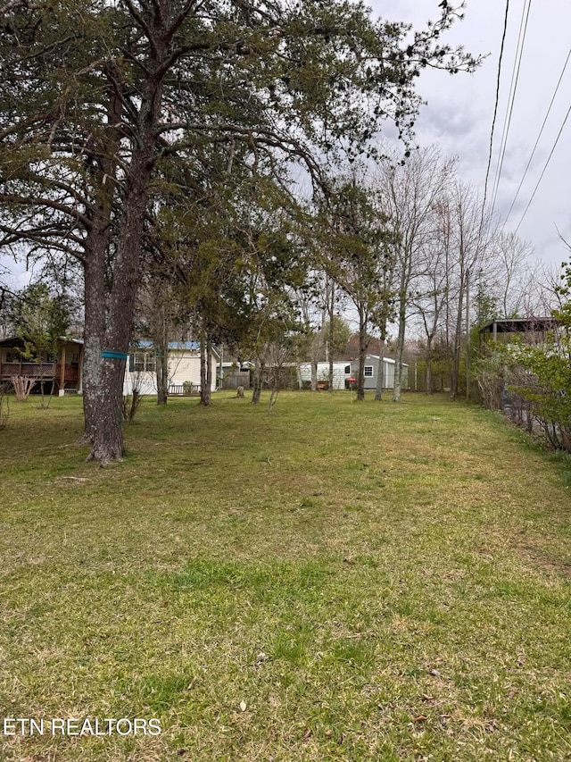 166 Sligo St, Crossville, TN 38572 - view of yard