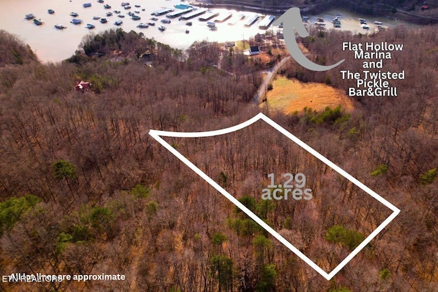 Saddle Ridge Dr, Speedwell TN, 37870 land for sale