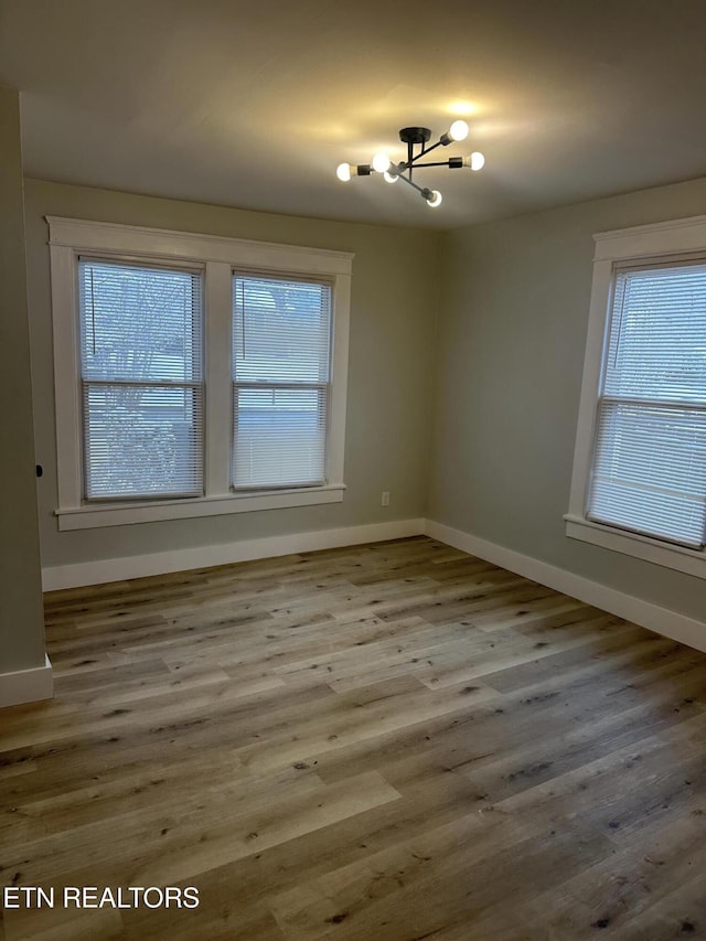 empty room featuring wood finished floors, a wealth of natural light, and baseboards