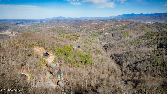 birds eye view of property with a mountain view