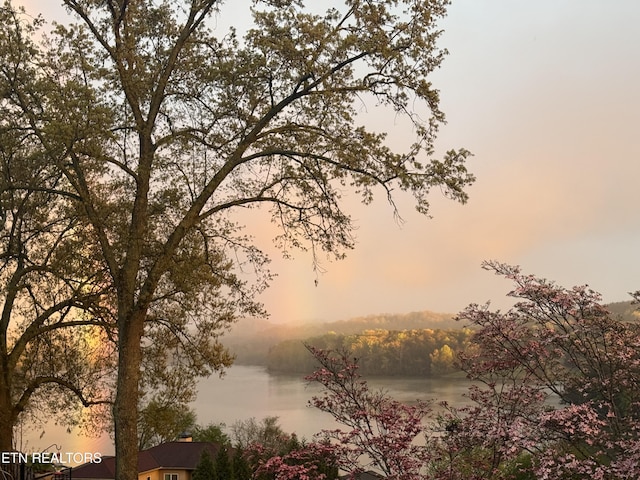 353 Southshore Dr, Greenback, TN 37742 - nature at dusk with a water view