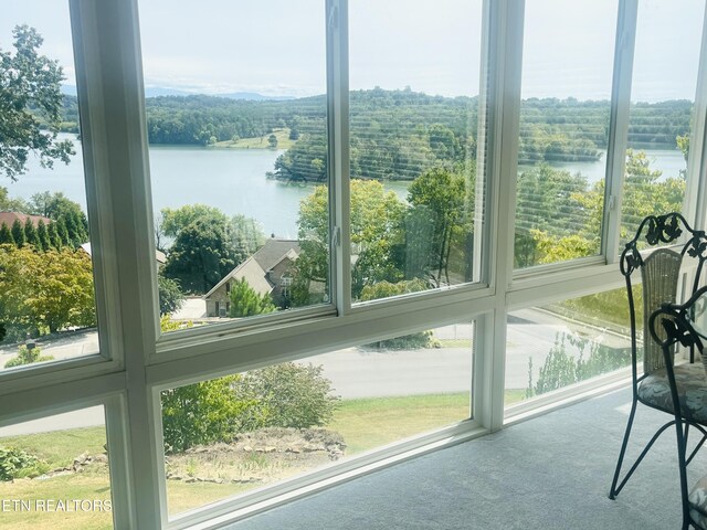 353 Southshore Dr, Greenback, TN 37742 - unfurnished sunroom with a water view