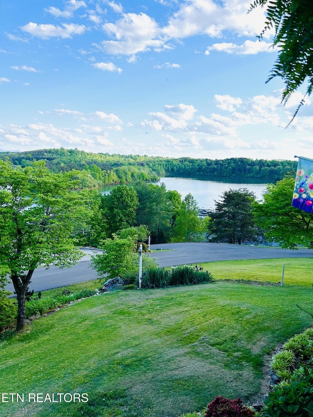 353 Southshore Dr, Greenback, TN 37742 - water view