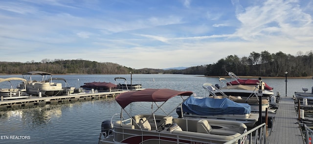 353 Southshore Dr, Greenback, TN 37742 - dock with a water view and a forest view