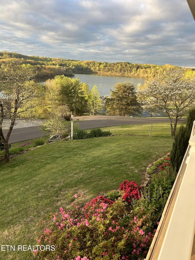 353 Southshore Dr, Greenback, TN 37742 - view of grassy yard featuring a water view