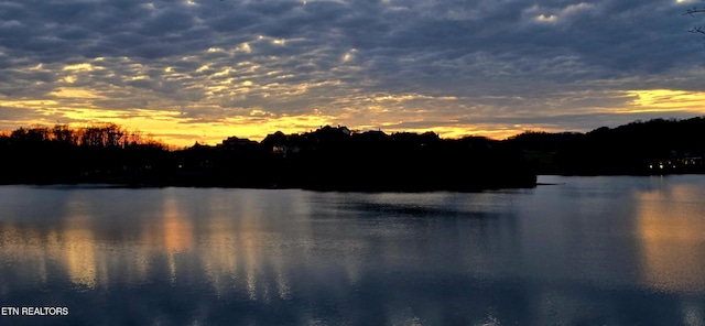 353 Southshore Dr, Greenback, TN 37742 - water view