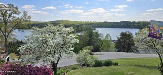 353 Southshore Dr, Greenback, TN 37742 - water view featuring a forest