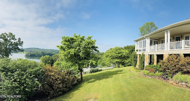 353 Southshore Dr, Greenback, TN 37742 - view of green lawn