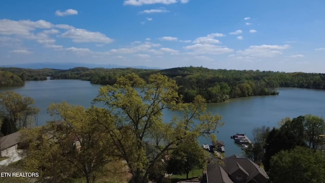 353 Southshore Dr, Greenback, TN 37742 - photo 2