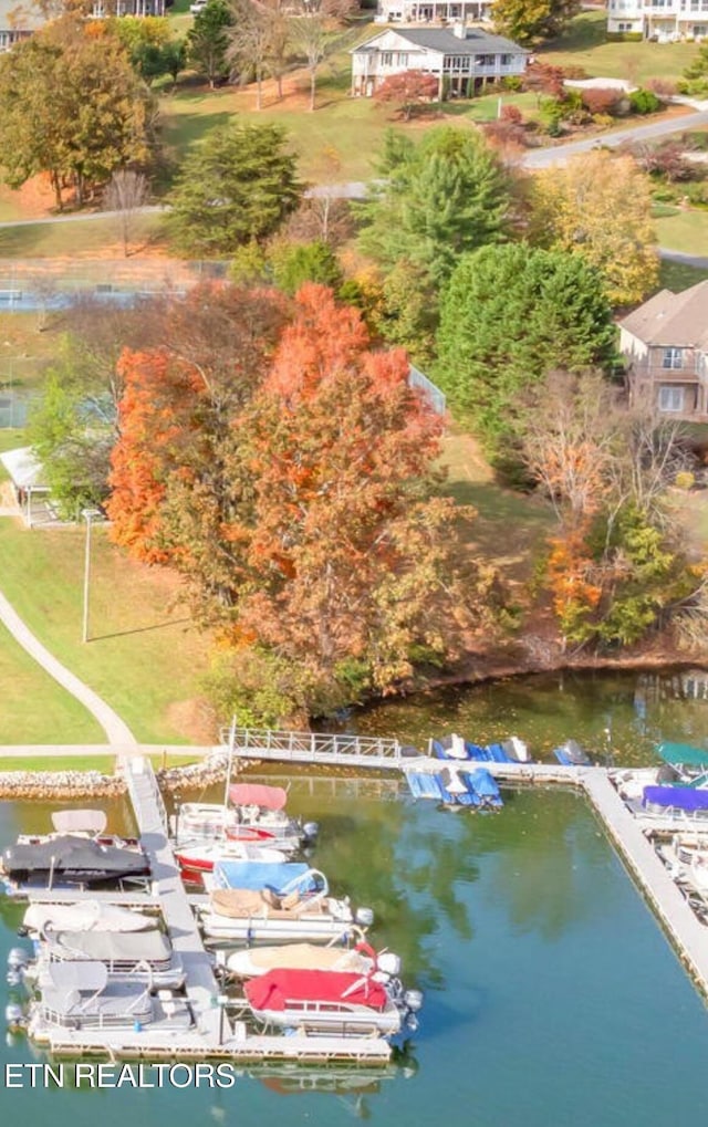 353 Southshore Dr, Greenback, TN 37742 - photo 5