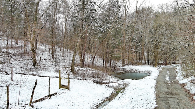 snowy yard with a wooded view