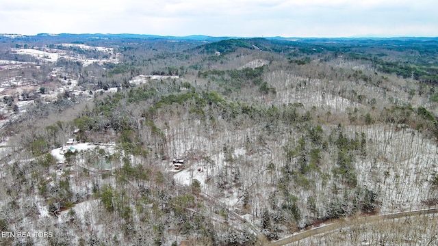 drone / aerial view featuring a mountain view and a view of trees