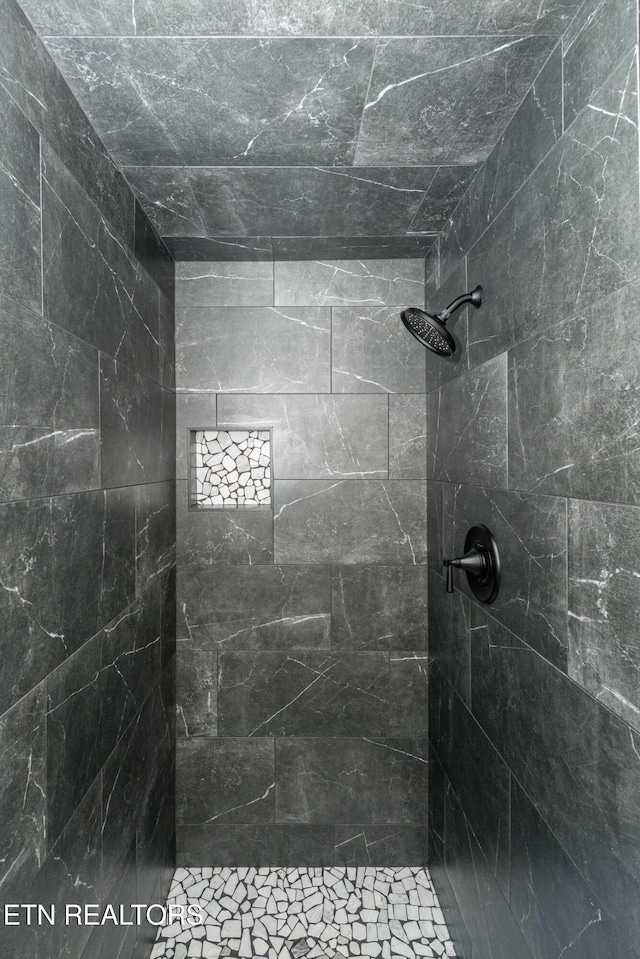 full bathroom with tiled shower