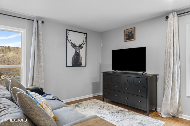 527 Hawks Trl, Gatlinburg, TN 37738 - living room with baseboards and wood finished floors