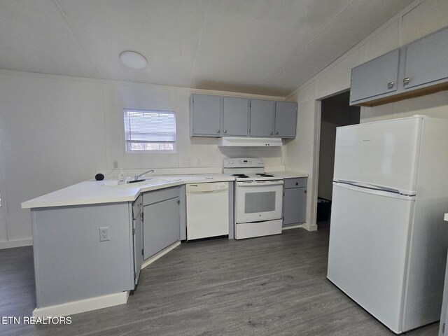 kitchen featuring dark wood-style floors, gray cabinets, light countertops, a sink, and white appliances
