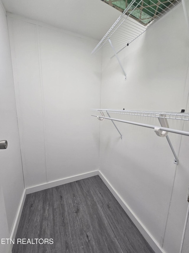 walk in closet with dark wood finished floors