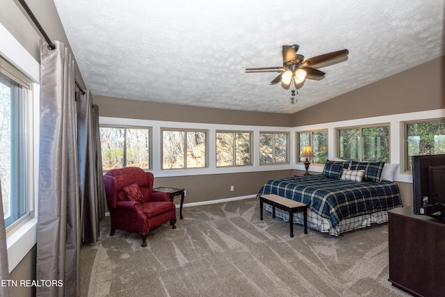 bedroom with vaulted ceiling, multiple windows, carpet flooring, and a textured ceiling