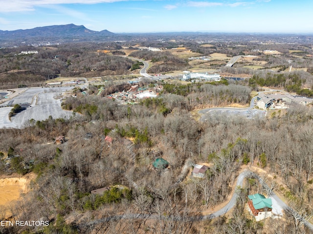 birds eye view of property with a mountain view