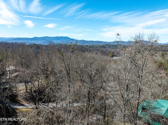 view of mountain feature featuring a wooded view