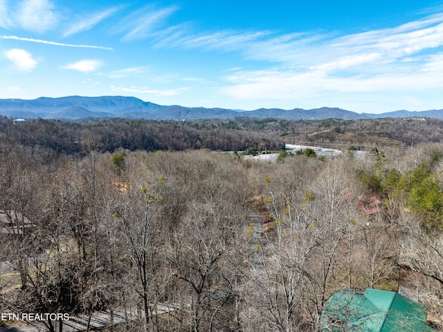 view of mountain feature featuring a wooded view