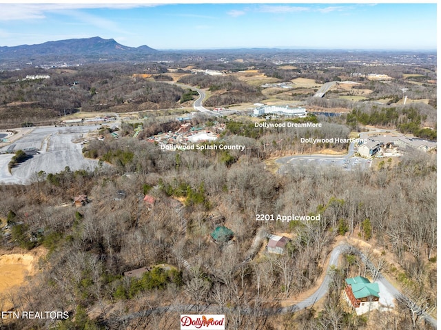 birds eye view of property with a mountain view