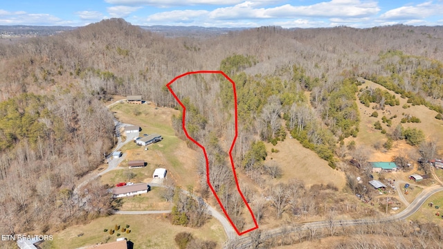 1858 Old Chilhowee Rd, Seymour TN, 37865 land for sale