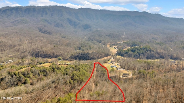 Listing photo 3 for 1858 Old Chilhowee Rd, Seymour TN 37865