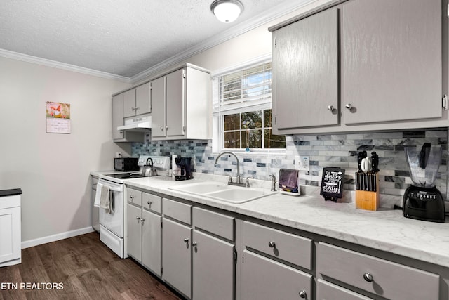 kitchen featuring a sink, under cabinet range hood, gray cabinetry, and white electric range oven