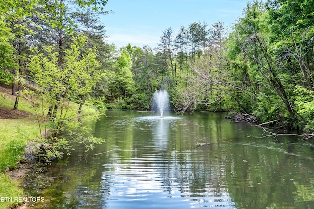 3412 Merlin Way, Pigeon Forge, TN 37862 - view of water feature