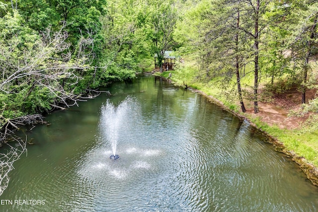 3412 Merlin Way, Pigeon Forge, TN 37862 - water view