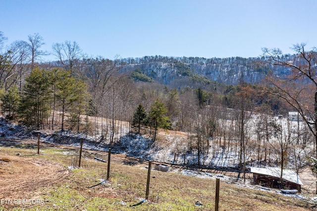 property view of mountains featuring a wooded view