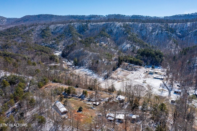 aerial view with a mountain view