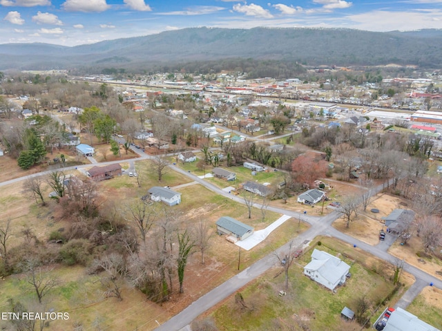 birds eye view of property featuring a mountain view