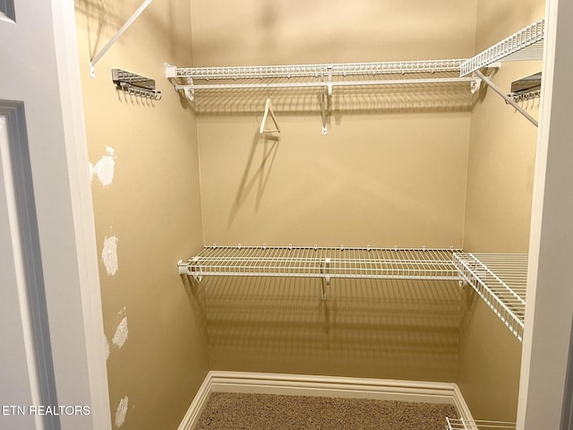 view of spacious closet