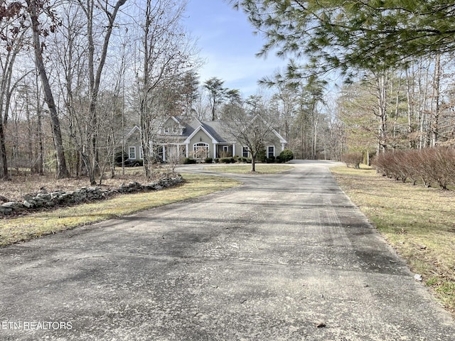 view of street with driveway