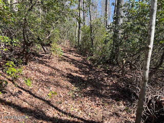Cliff Park Rd Unit 8, Monterey, TN 38574 - photo 3