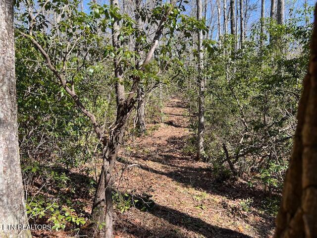 Cliff Park Rd Unit 8, Monterey, TN 38574 - photo 5