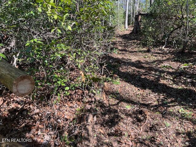 Cliff Park Rd Unit 8, Monterey, TN 38574 - photo 6